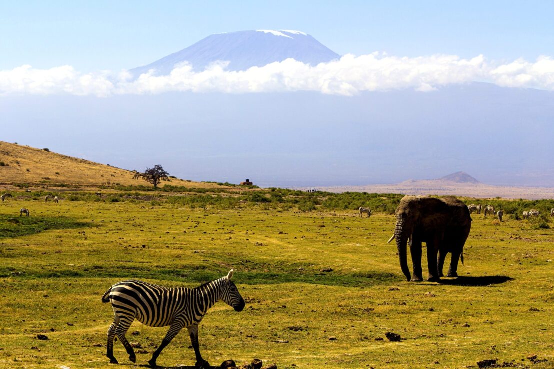Kilimanjaro Expedition - Black Mountaineering