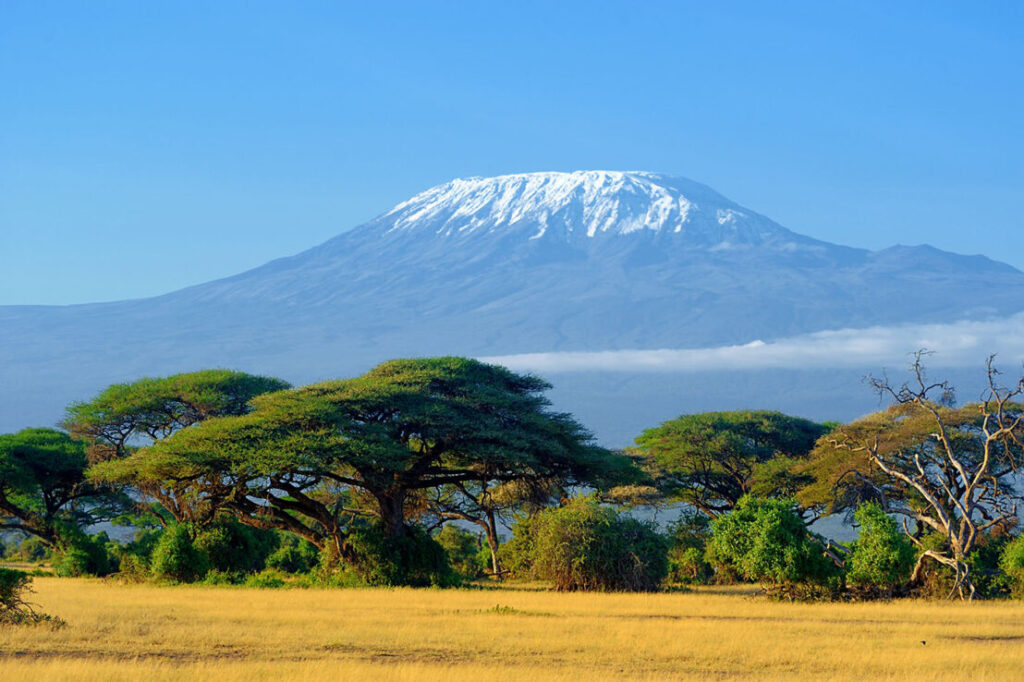 Kilimanjaro Expedition