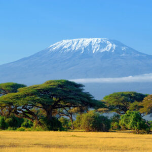 Kilimanjaro on african savannah