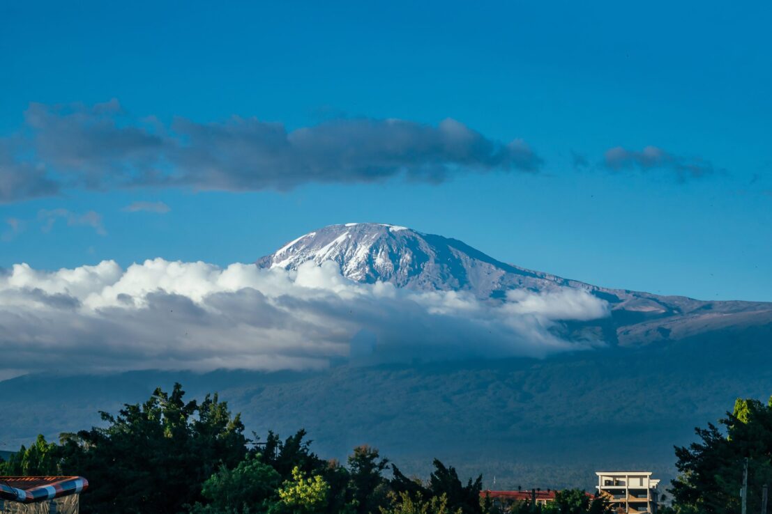 landscape of snowy kilimanjaro