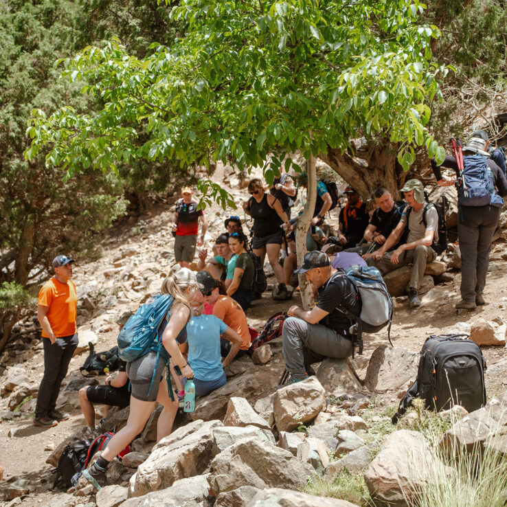 Diverse corporate team conducting hill training exercises preparing for mountain wellness challenge