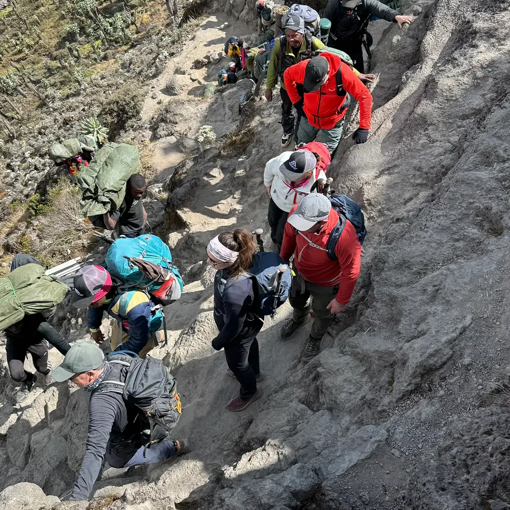 Climbers scrambling up the Barranco Wall on Kilimanjaro Machame Route Tanzania at dawn